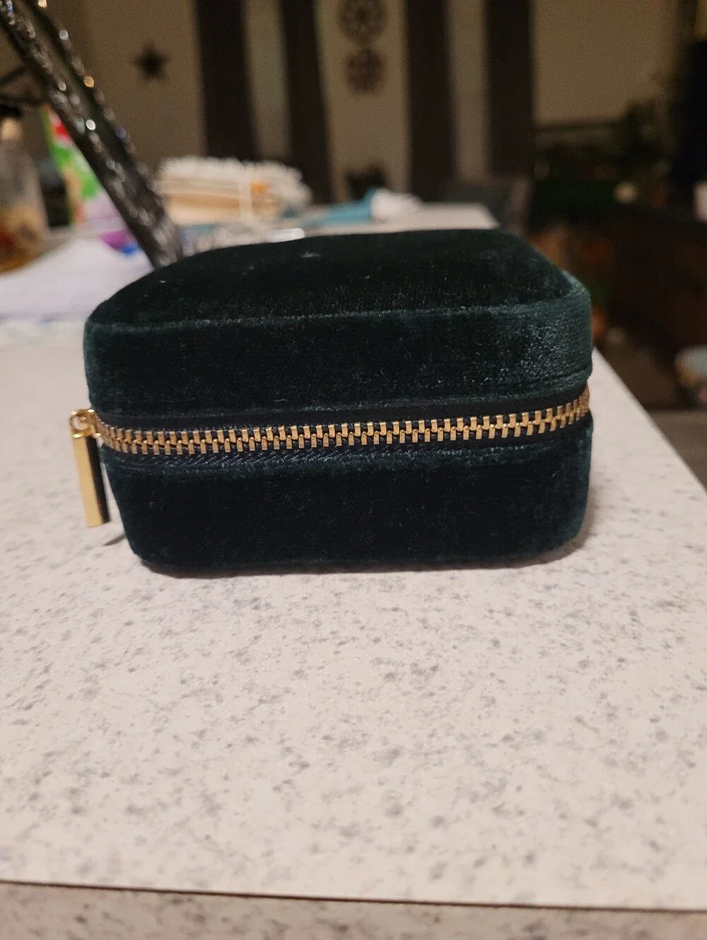 J. Crew Green Jewelry Travel Case with Cream Interior